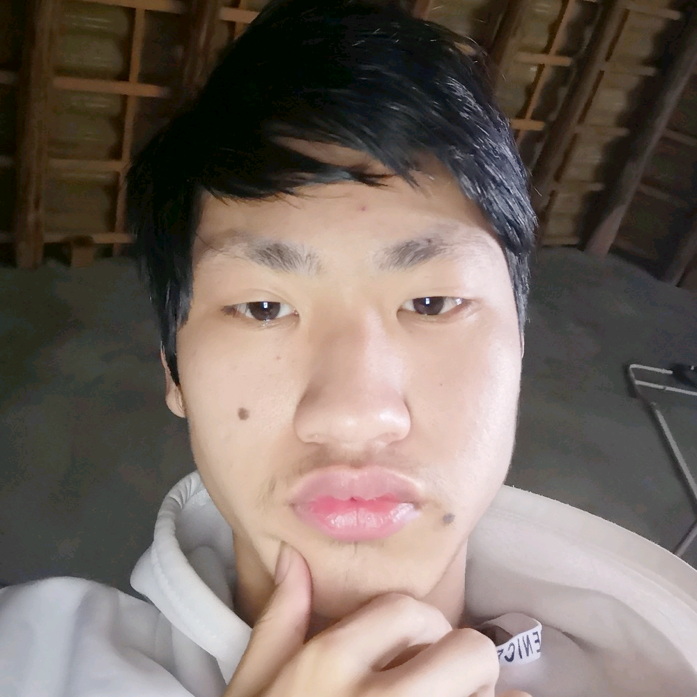 蜜蜂漫步魁梧的照片