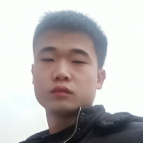 聪慧凝眸灰狼的照片