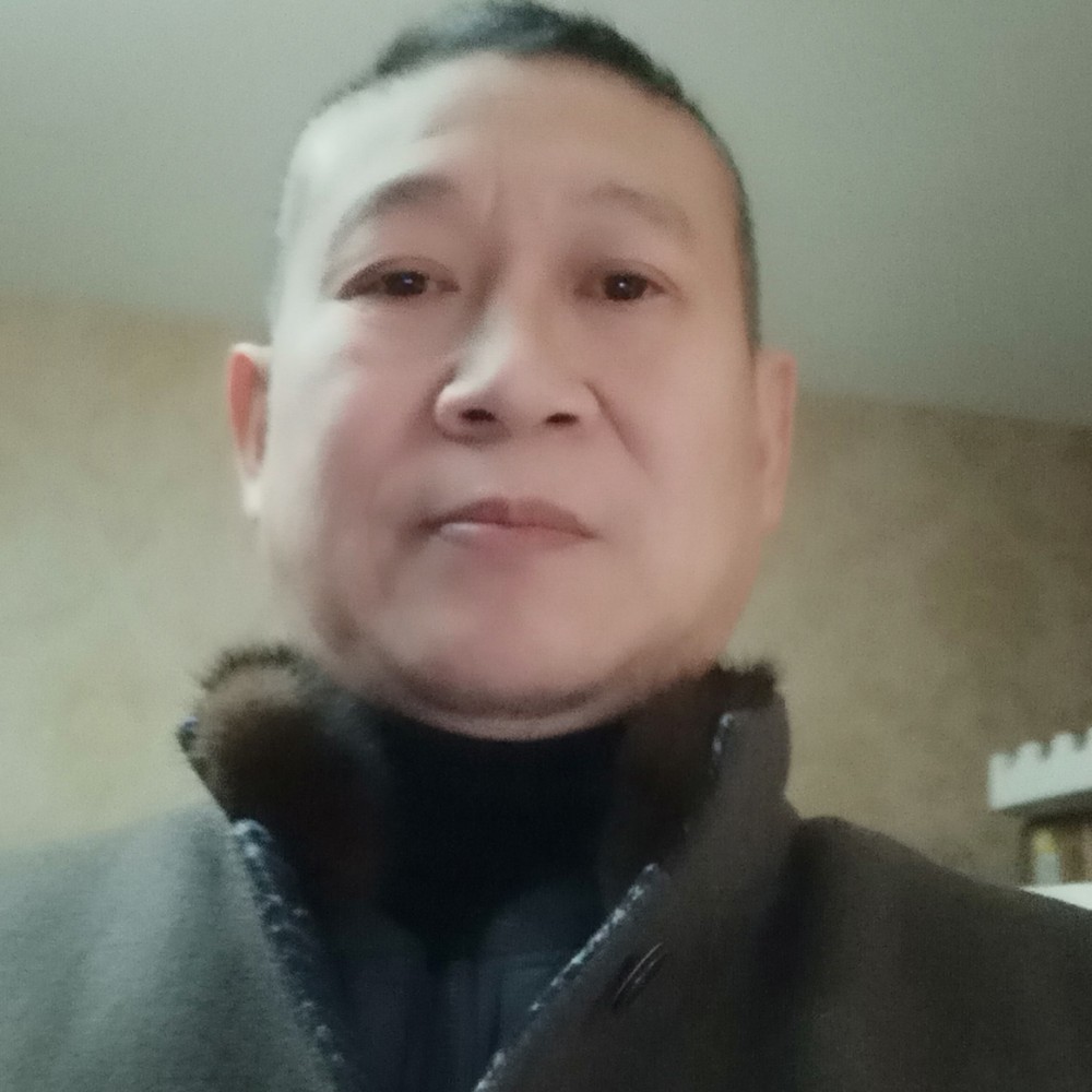 粗心黑猫的照片