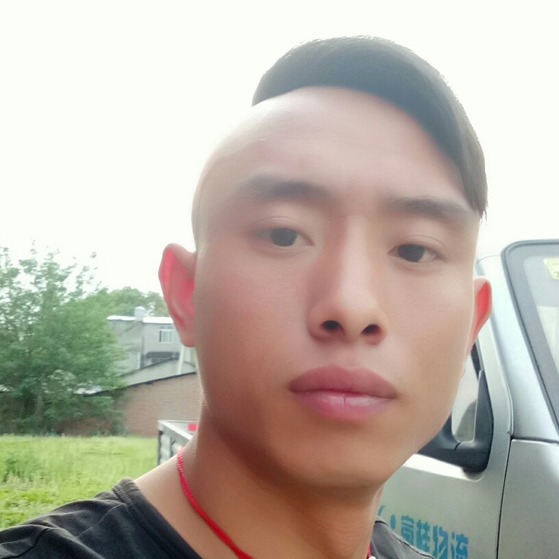 咖啡豆火星上的照片