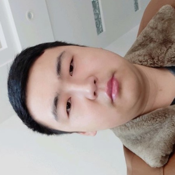 纸鹤停止危机的照片