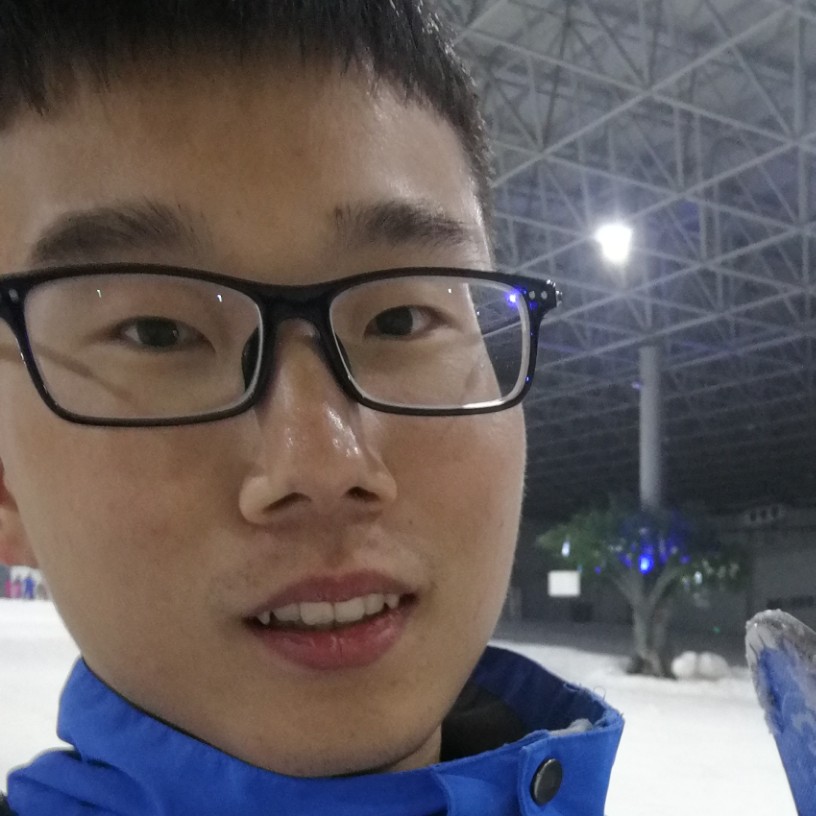 洁净狗的照片