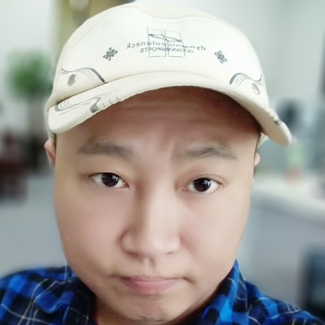 荷兰的猪的照片