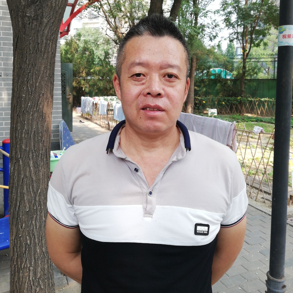 豌豆年轻的照片