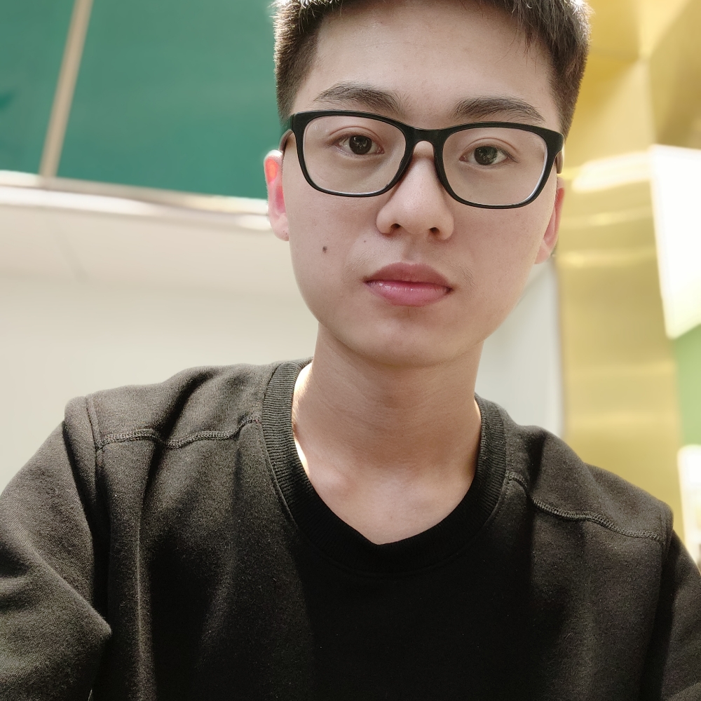 小鸭子浅吻和谐的照片