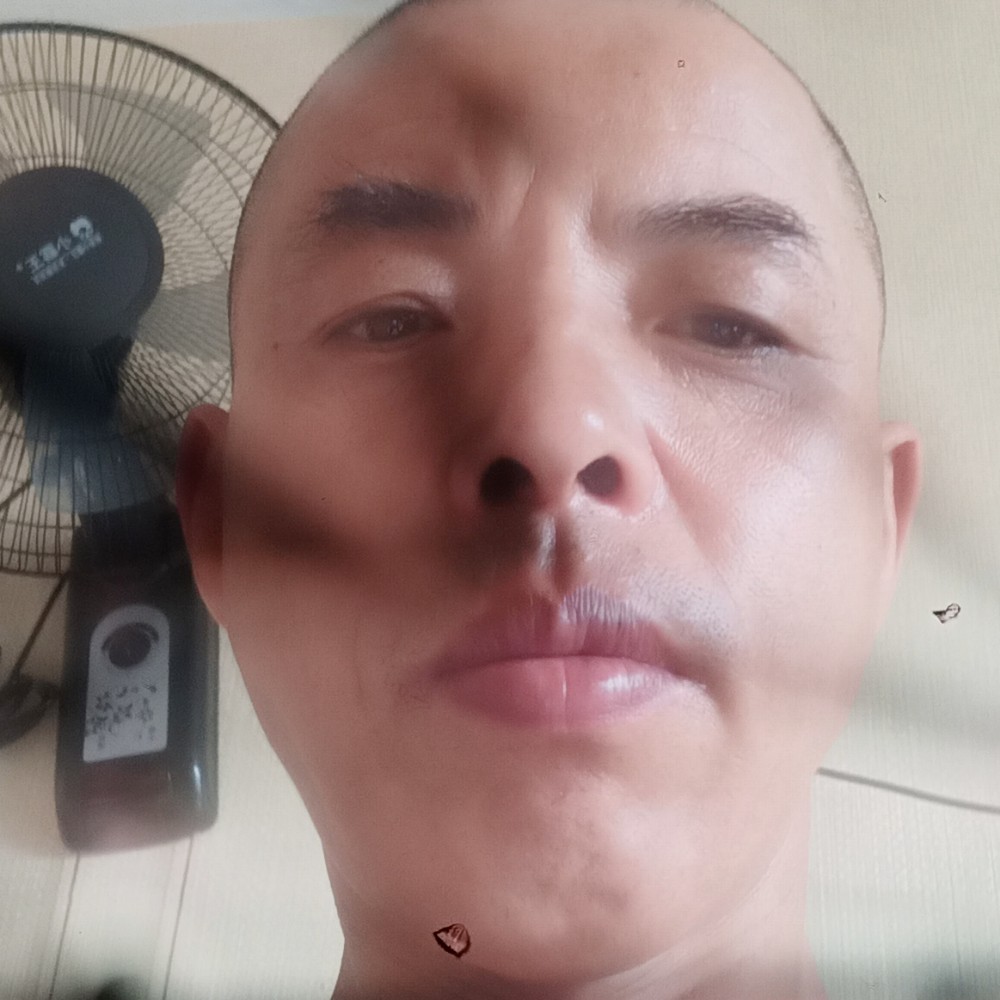 绿茶聪慧的照片
