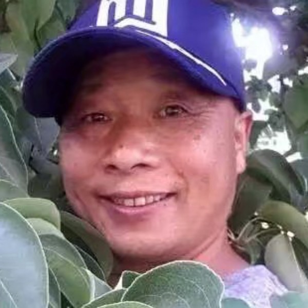 花魂愿温暖的照片
