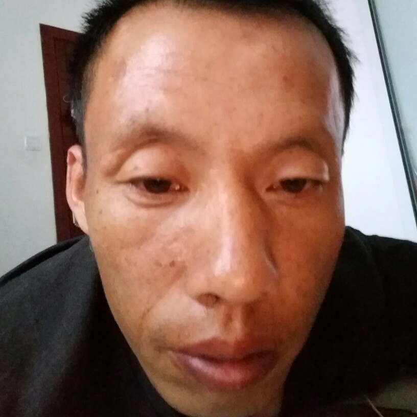 小鸭子多么尊敬的照片