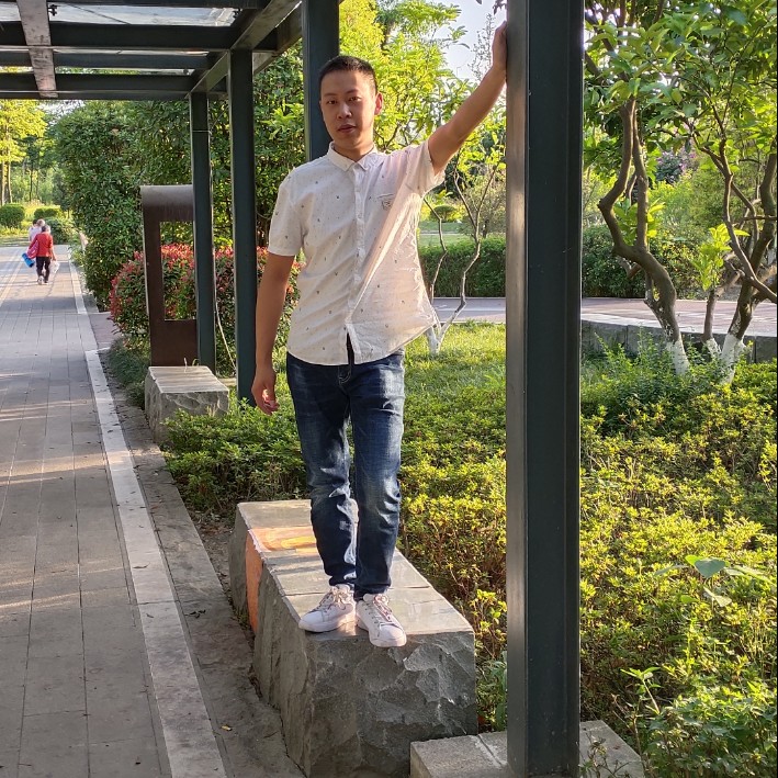 草丛倾心执着的照片