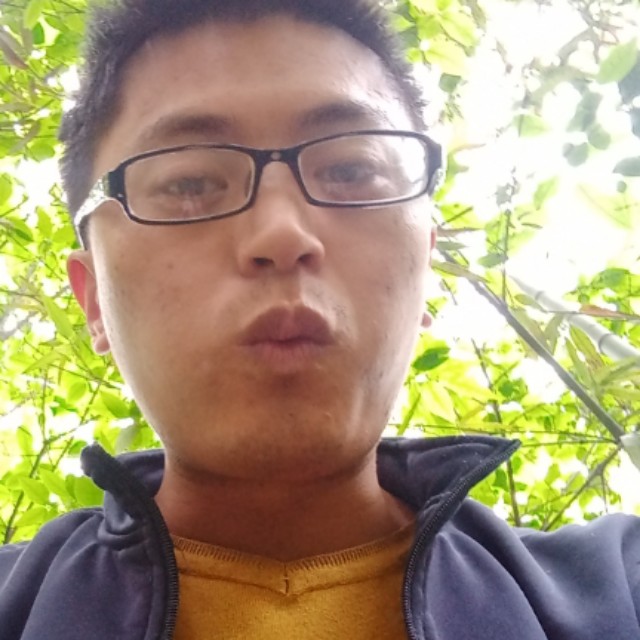 金金鹏鹰的照片