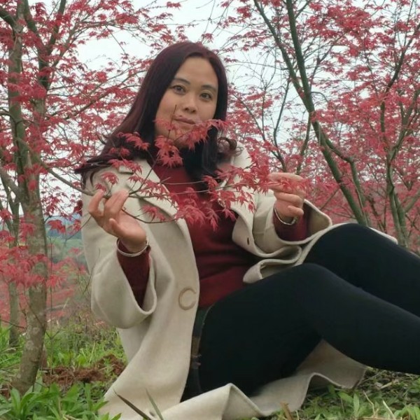 古雅的照片