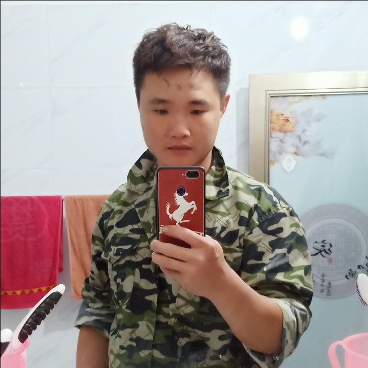 斑马孤單的照片