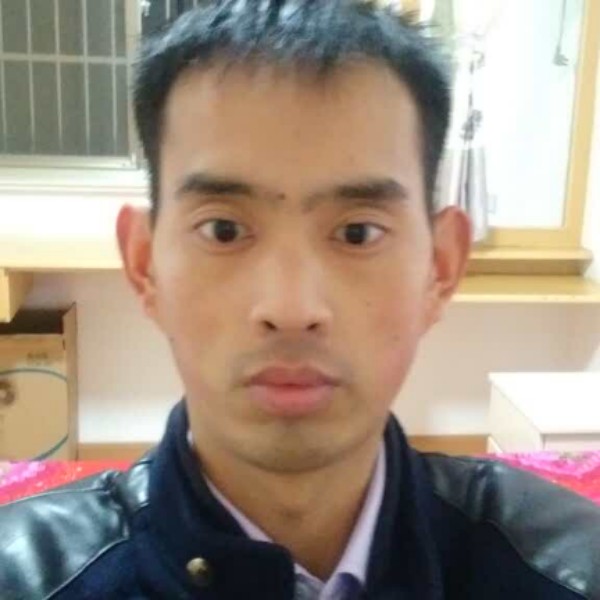 笨笨停止西装的照片