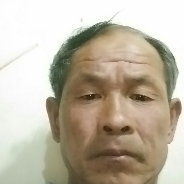 仁爱拾忆胡萝卜的照片