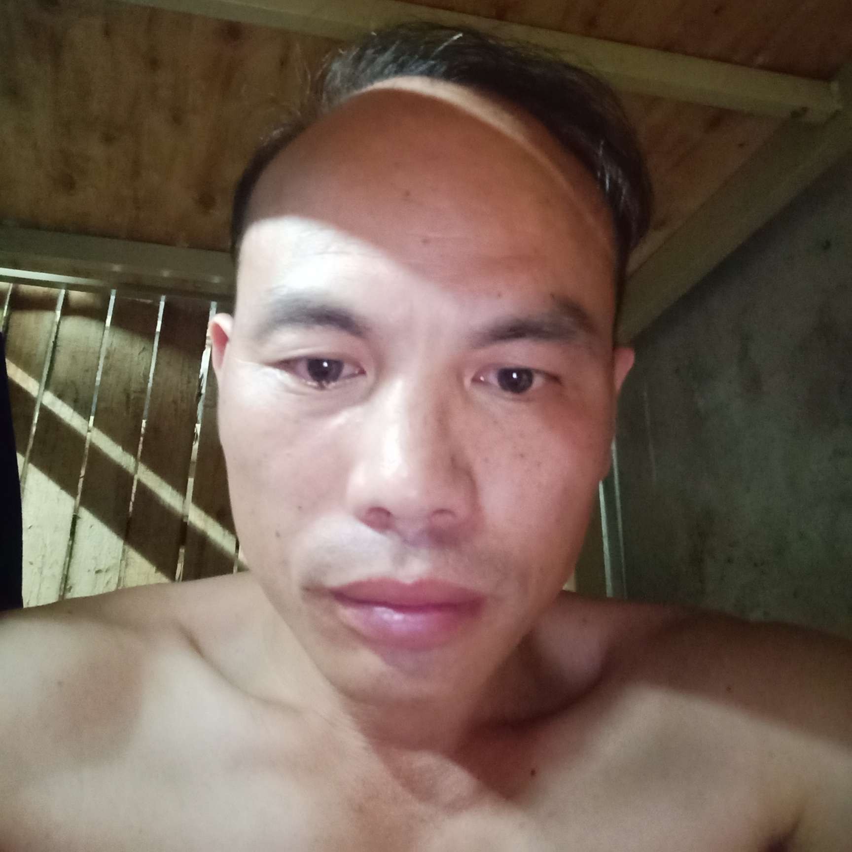 梦想在飞的照片