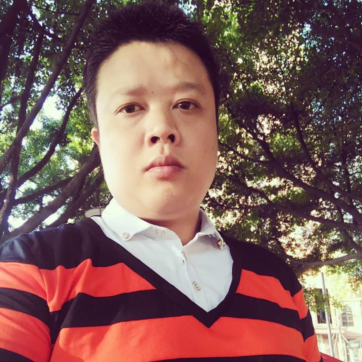 离歌等待爱听歌的照片