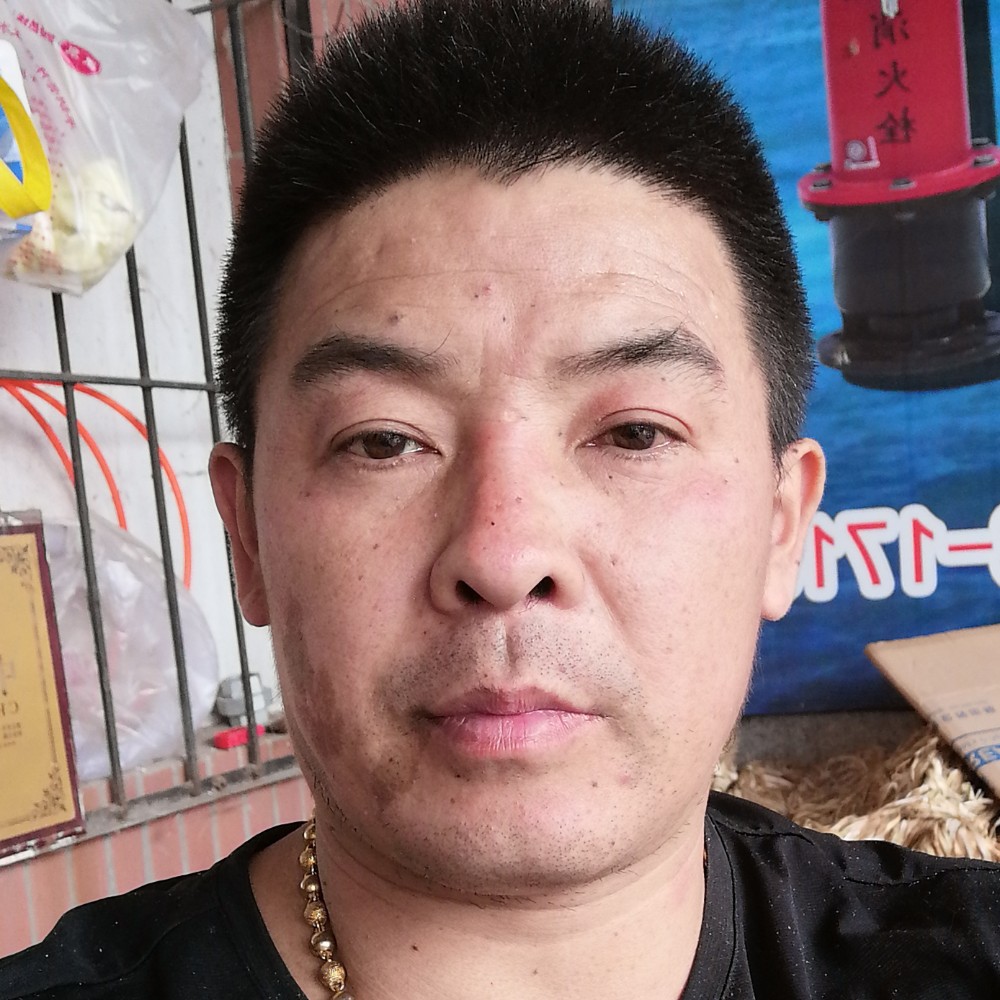 勤劳的小蚂蚁的照片