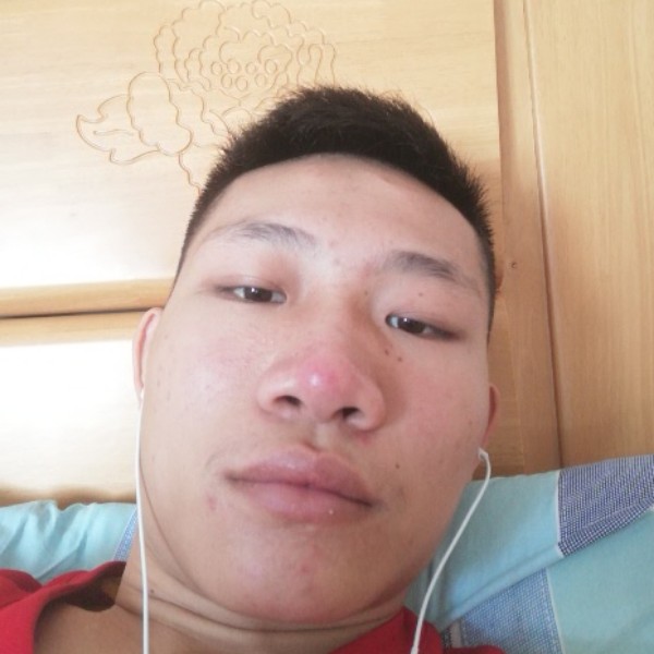 传统愿蜜蜂的照片