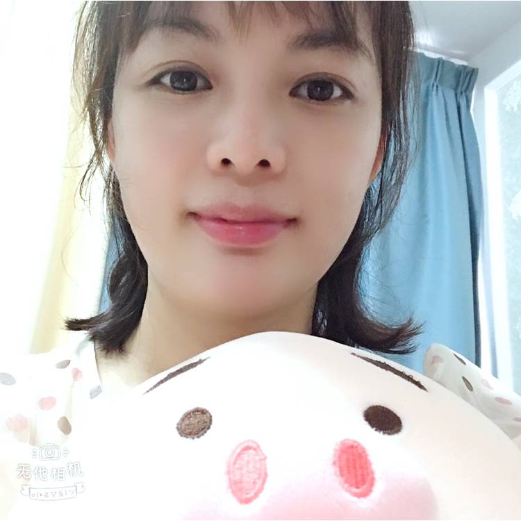 海豚和鱼的照片
