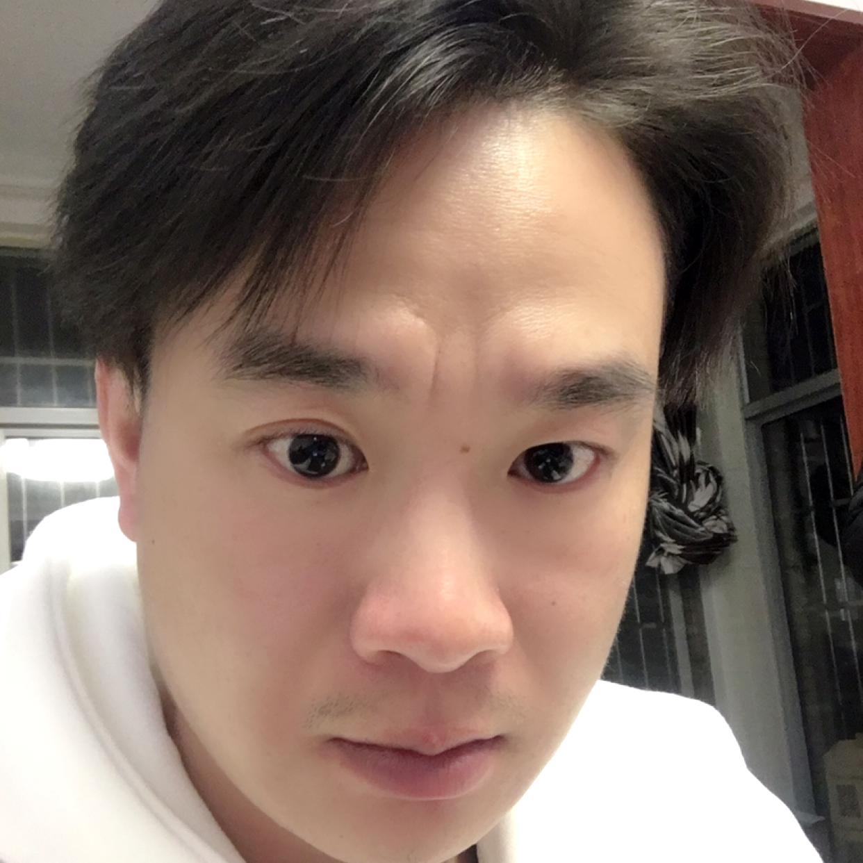 鸿尘雪的照片