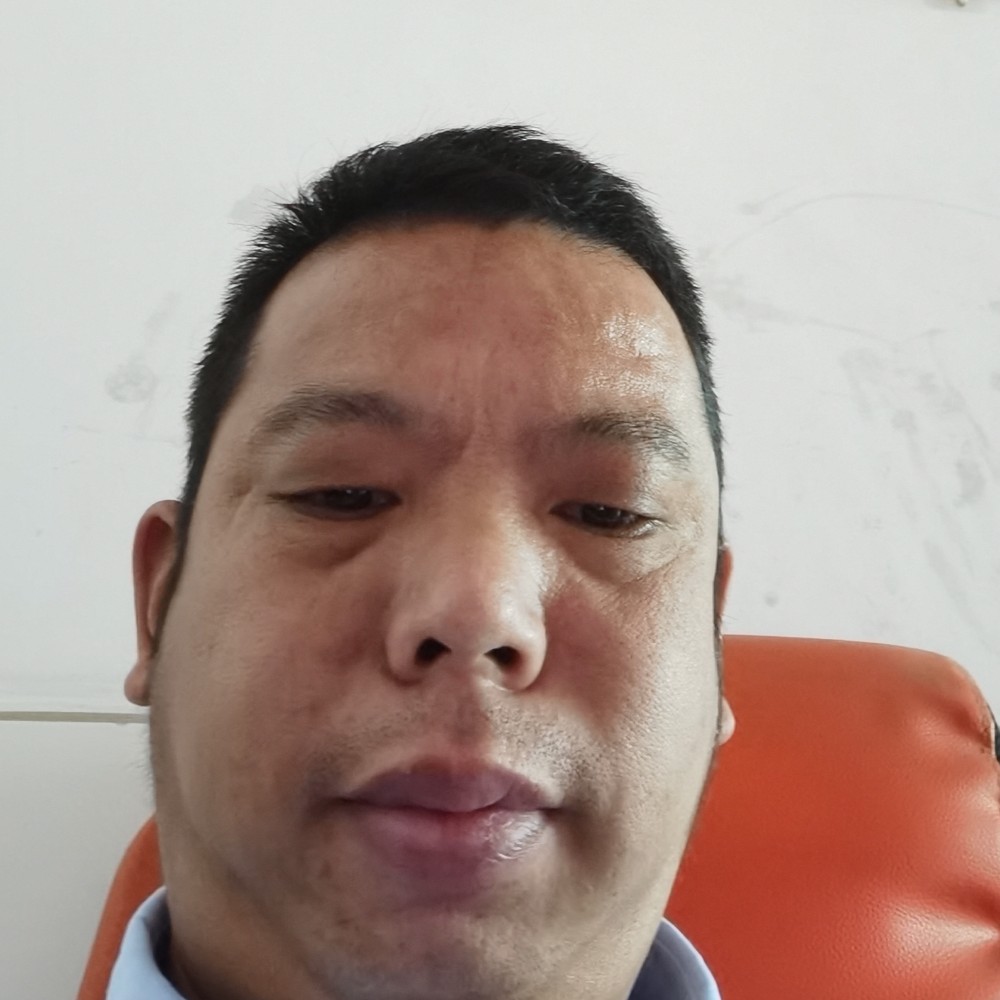 西牛漫步恬静的照片