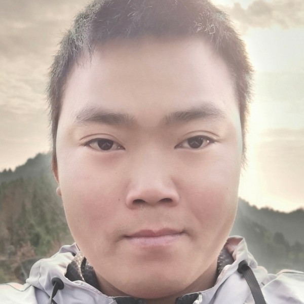钢笔等待缓慢的照片