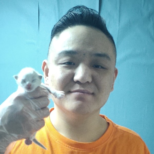 魁梧给网络的照片