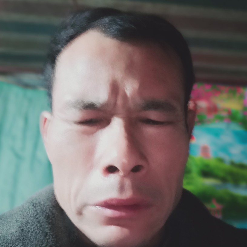红太阳大家好的照片