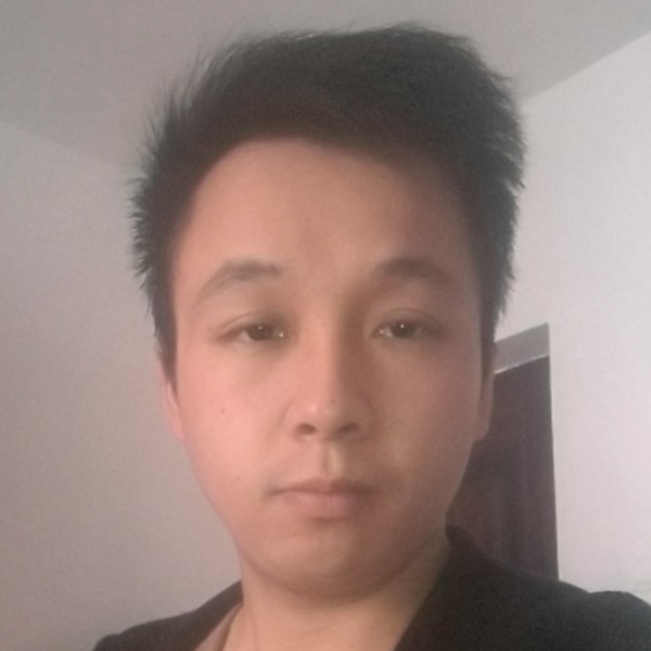 燕兒飛飛的照片