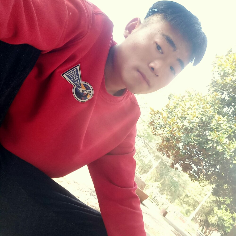 落拓相许大炮的照片