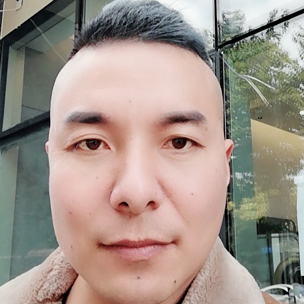 怕孤独飞鸟的照片