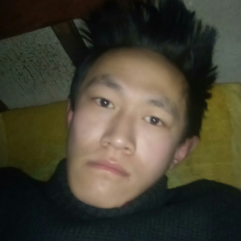 鼠标深拥结实的照片