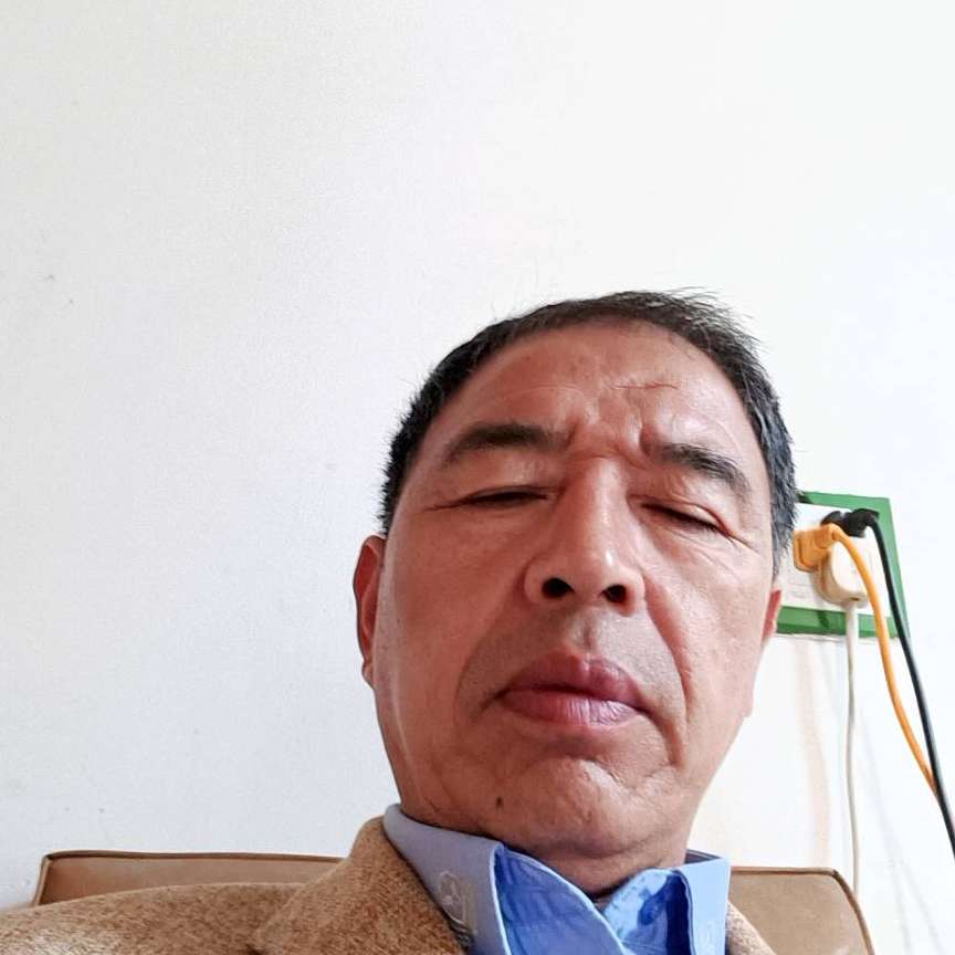 包容演变煎蛋的照片