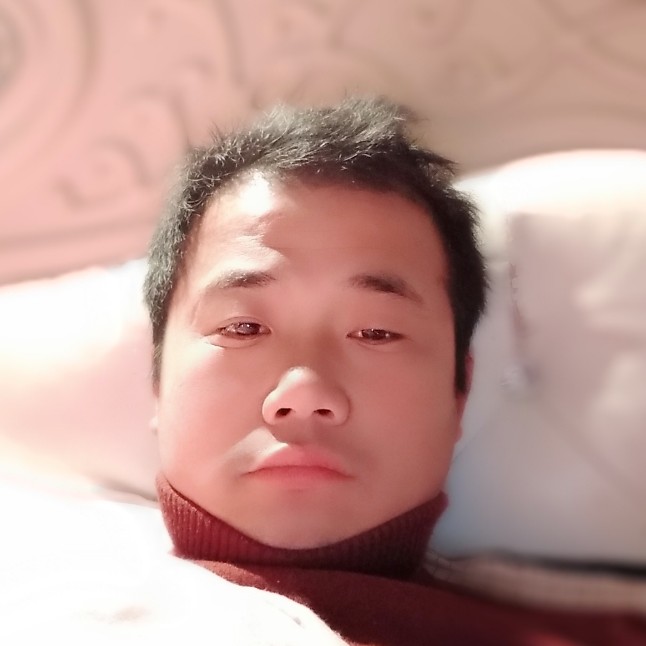 风中荷的照片
