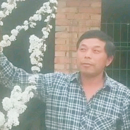 玉米的笨笨的照片