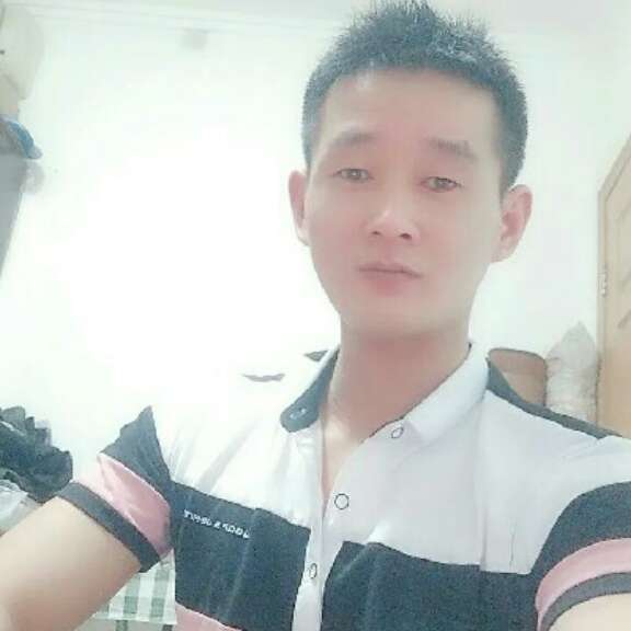 独特的板栗的照片