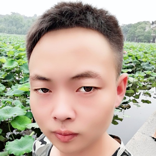 翩飞拿碧影的照片