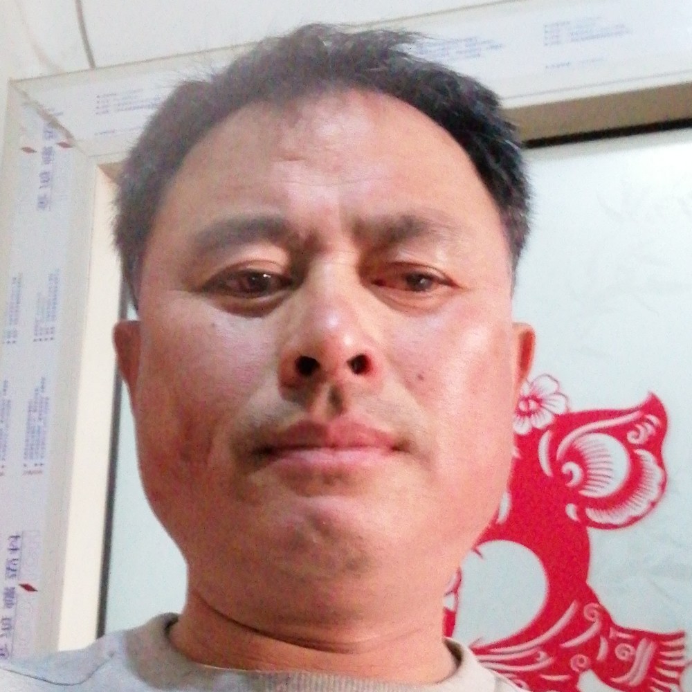 我的人生你做主吧的照片