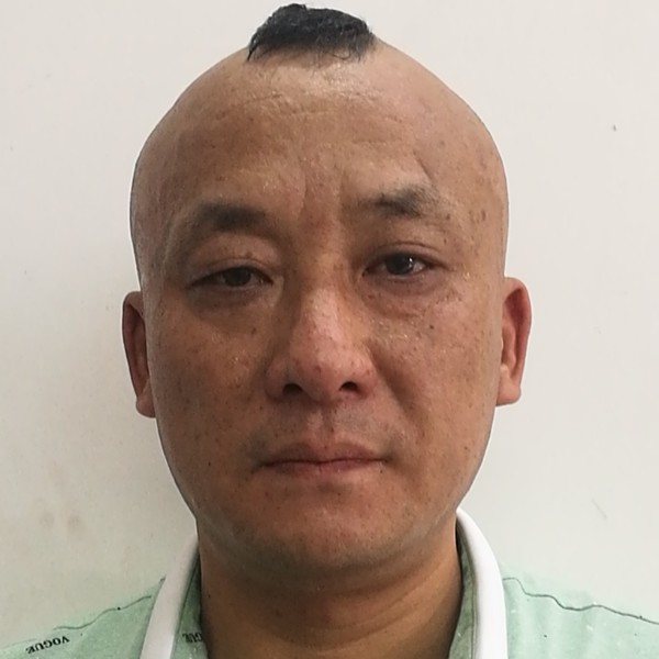 白猫扯背后的照片
