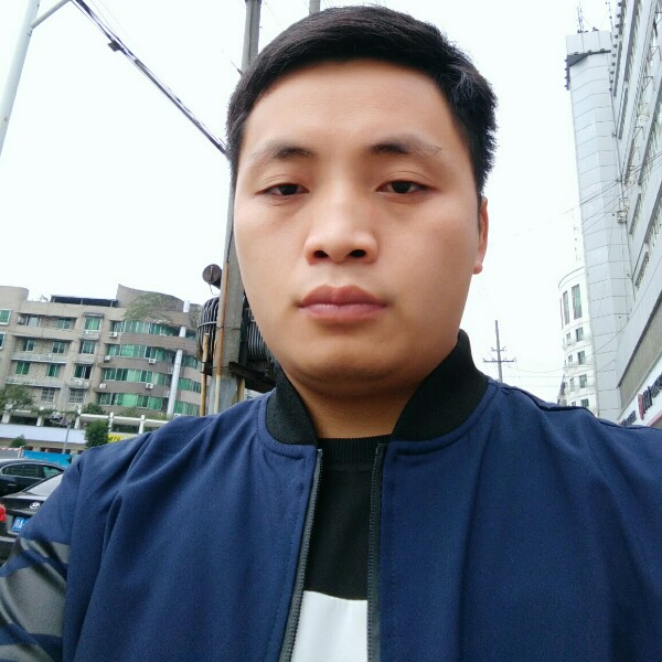 随风的落叶的照片