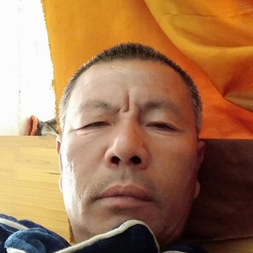 热狗回眸文静的照片