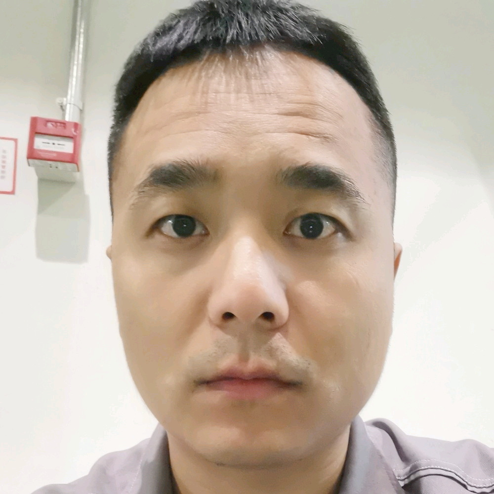 会飞的鲤鱼的照片