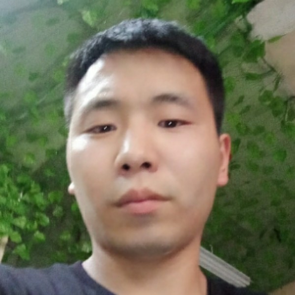 爬满围墙的花的照片