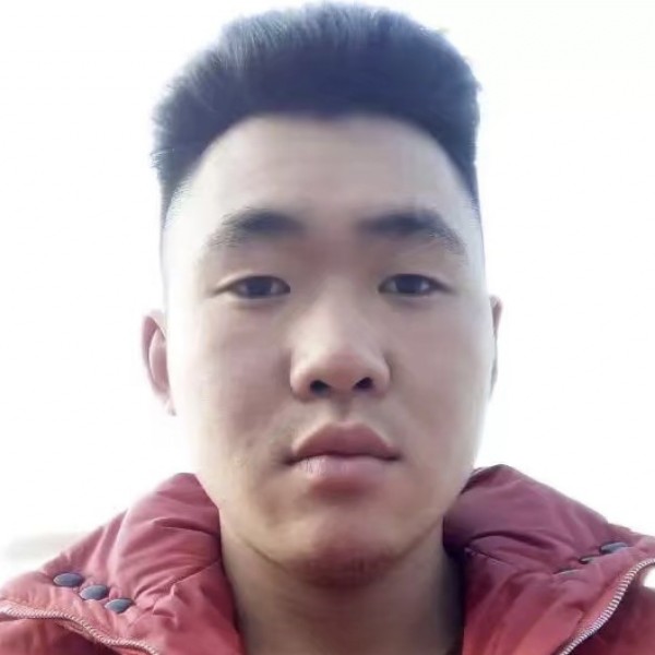 聪明打绿草的照片