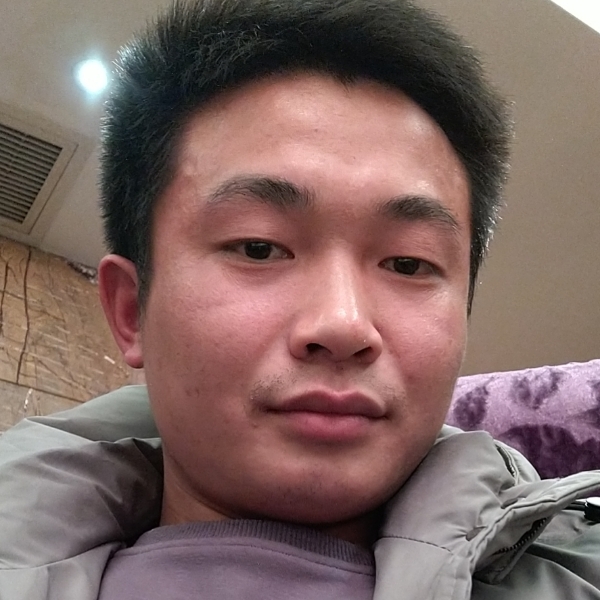 整齐倾心鱼的照片