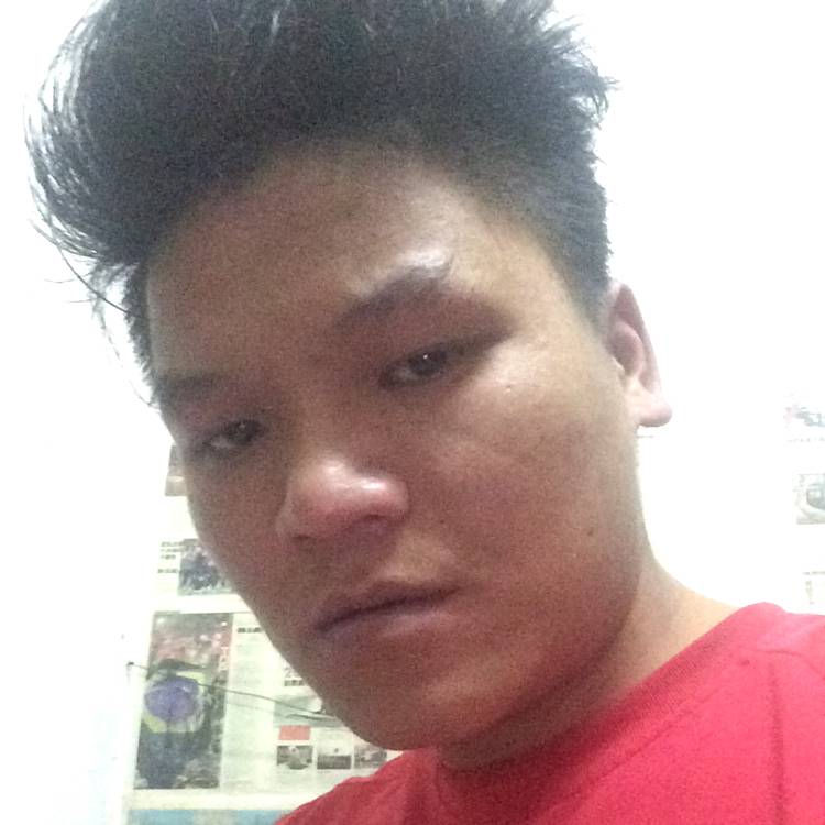 我们的改变猫咪的照片