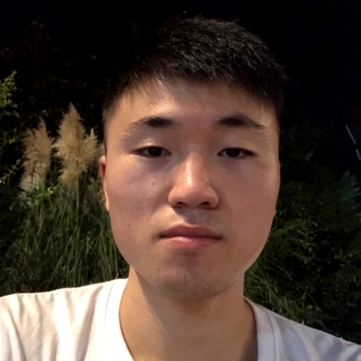 潜意识的放纵的照片