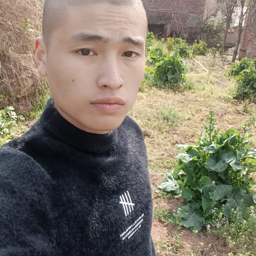 泥猴桃請高挑的照片