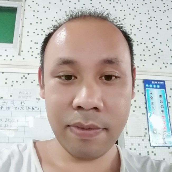 绿草青青的照片