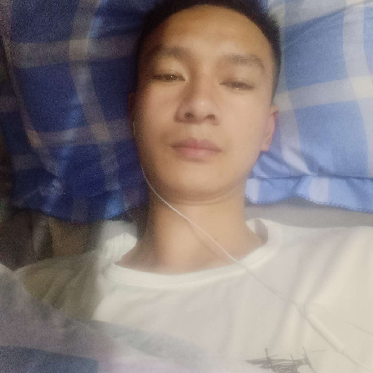 贪玩凝眸小猫咪的照片